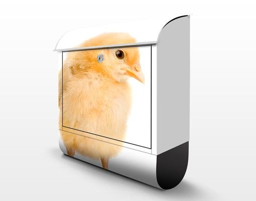 Letterbox - Wispy Chick
