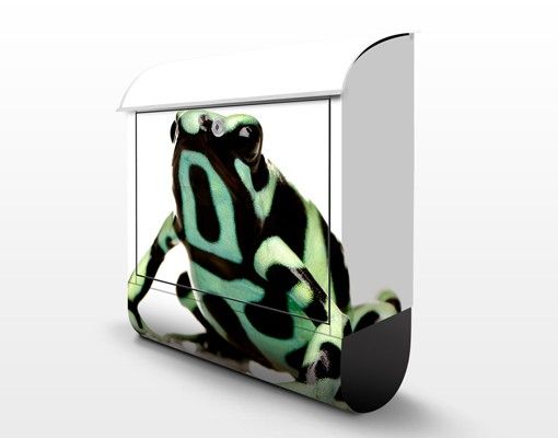 Letterbox - Zebra Frog