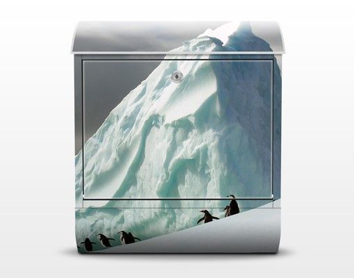 Letterbox - Arctic Penguins