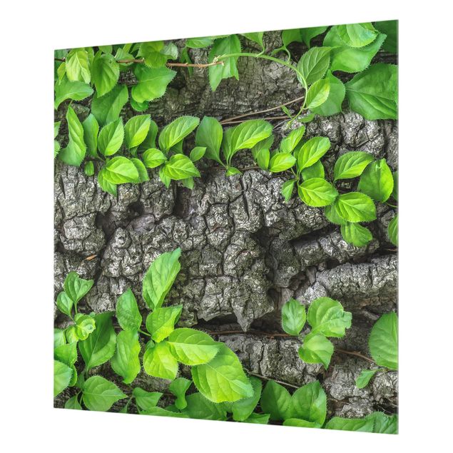 Glass Splashback - Ivy Tree Bark - Square 1:1