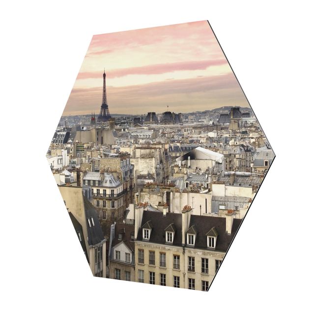 Alu-Dibond hexagon - Paris Up Close