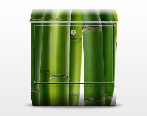 Letterbox - Bamboo Plants