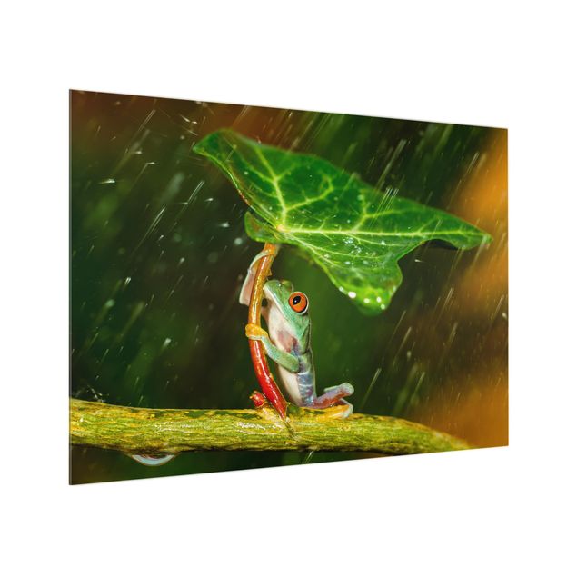 Glass splashback kitchen A Frog In The Rain