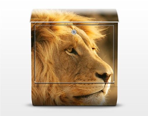 Letterbox - King Lion
