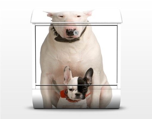Letterbox - Bull Terrier and Friend
