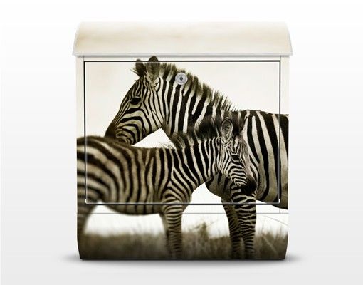 Letterbox - Zebra Couple