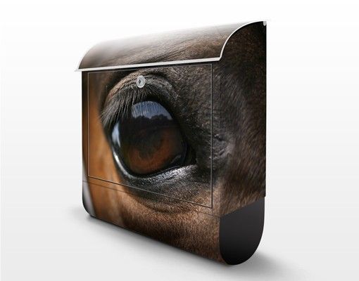 Letterbox - Horse Eye