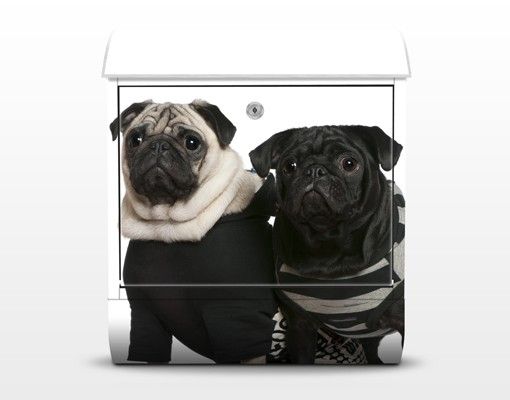 Letterbox - Pug Fashion