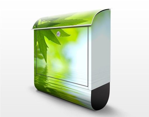 Letterbox - Green Ambiance III