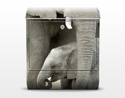 Letterbox - Elephant Love
