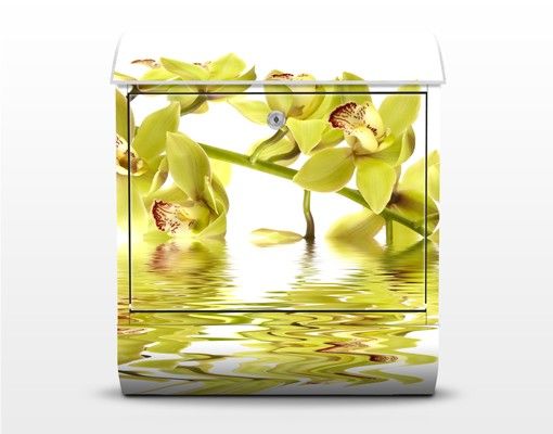 Letterbox - Elegant Orchid Waters