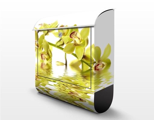 Letterbox - Elegant Orchid Waters