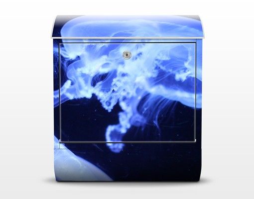 Letterbox - Jellyfish Shoal