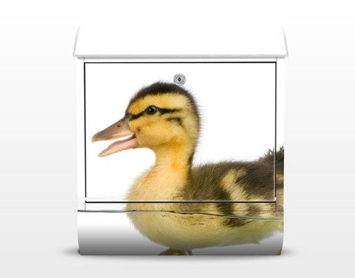 Letterbox - Duckling I