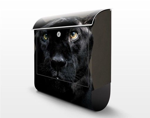 Letterbox - Black Puma