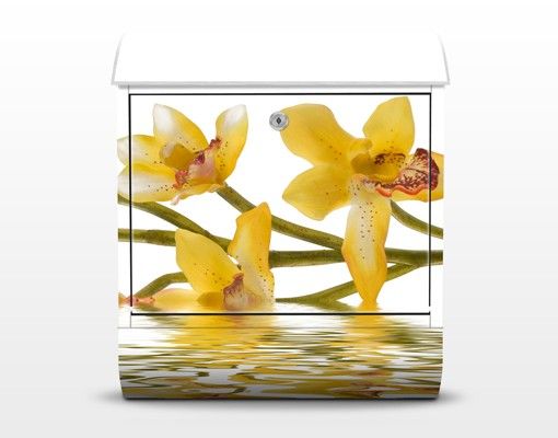 Letterbox - Saffron Orchid Waters