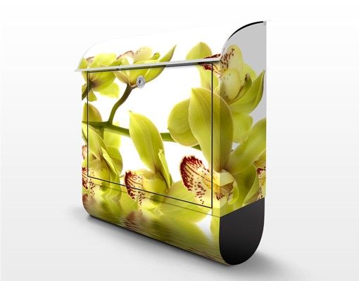 Letterbox - Splendid Orchid Waters