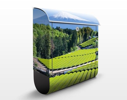 Letterbox - Tea Fields In Front Of The Fuji