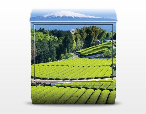 Letterbox - Tea Fields In Front Of The Fuji