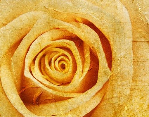 Letterbox - Vintage Rose
