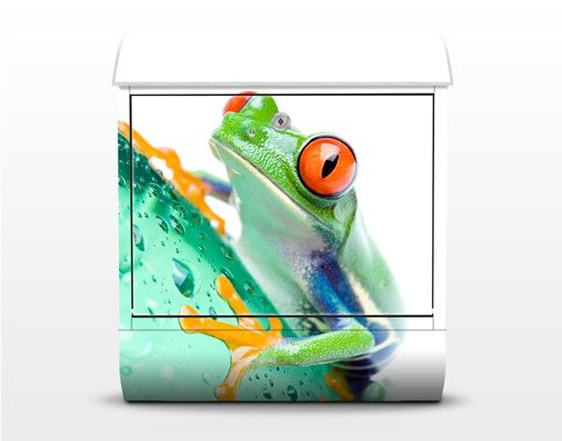 Letterbox - Frog