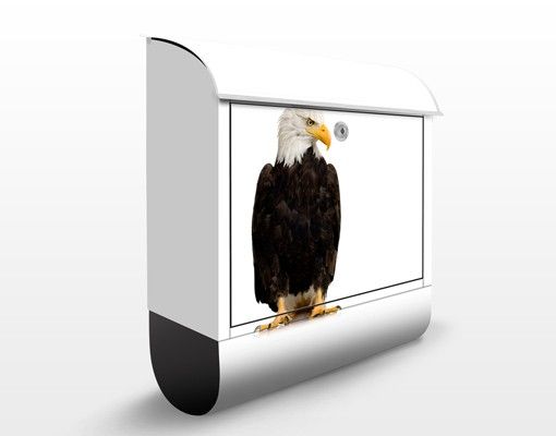 Letterbox - No.379 Eye of the Eagle