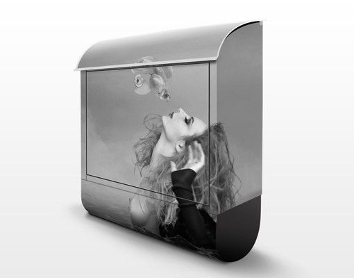 Letterbox - Kiss Of A Goldfish II
