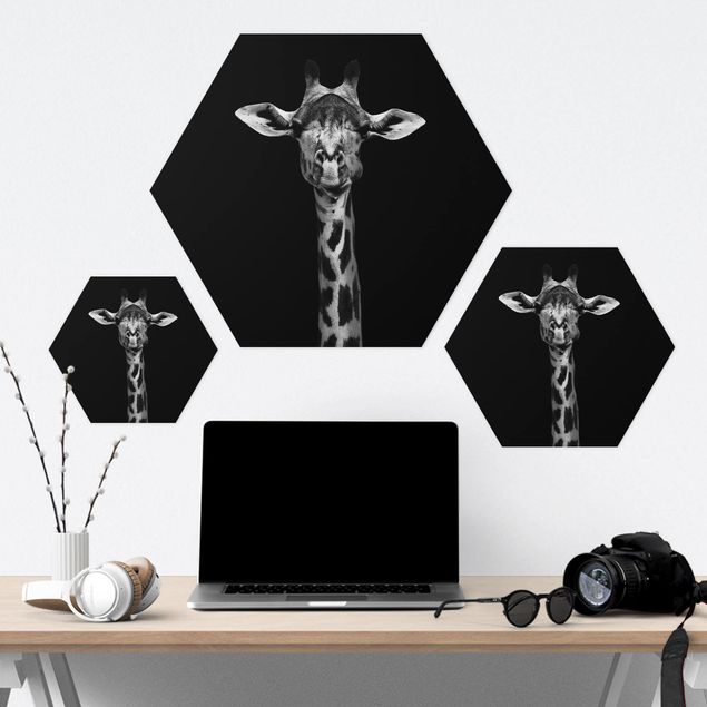 Forex hexagon - Dark Giraffe Portrait