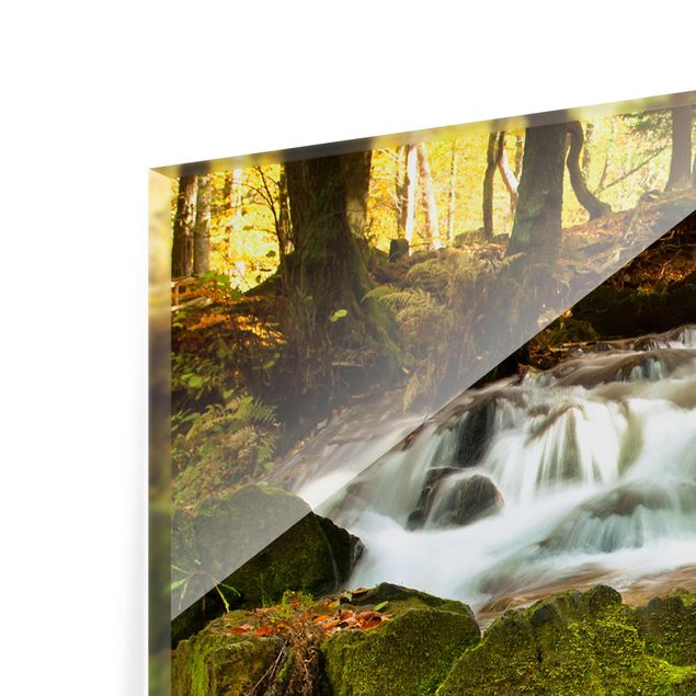 Splashback - Waterfall Autumnal Forest