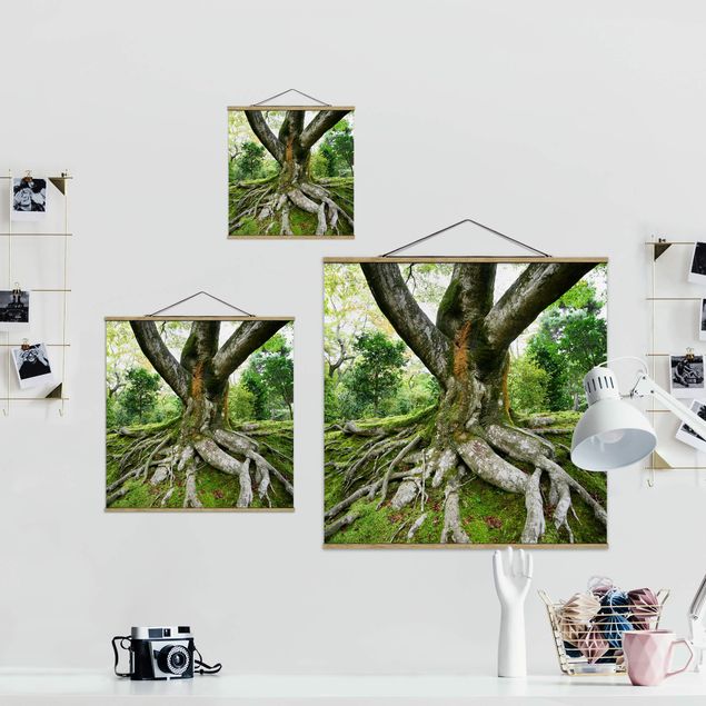 Fabric print with poster hangers - Old Tree