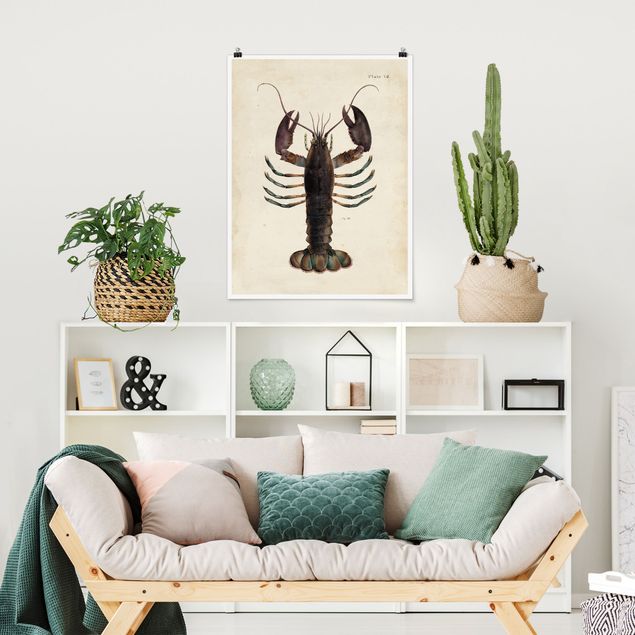 Poster - Vintage Illustration Lobster