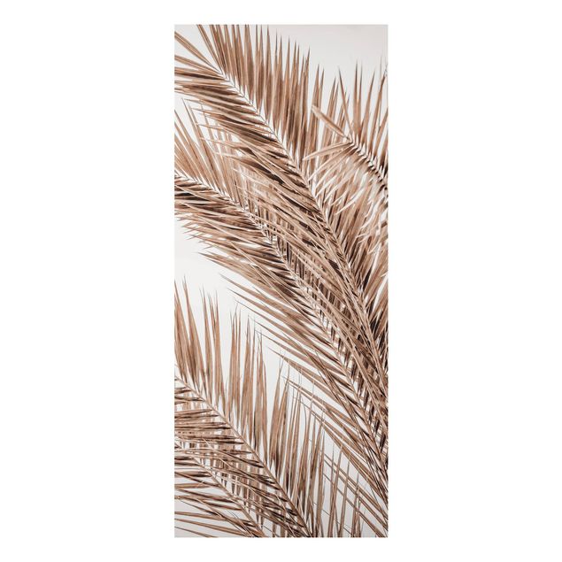 Print on aluminium - Bronze Coloured Palm Fronds