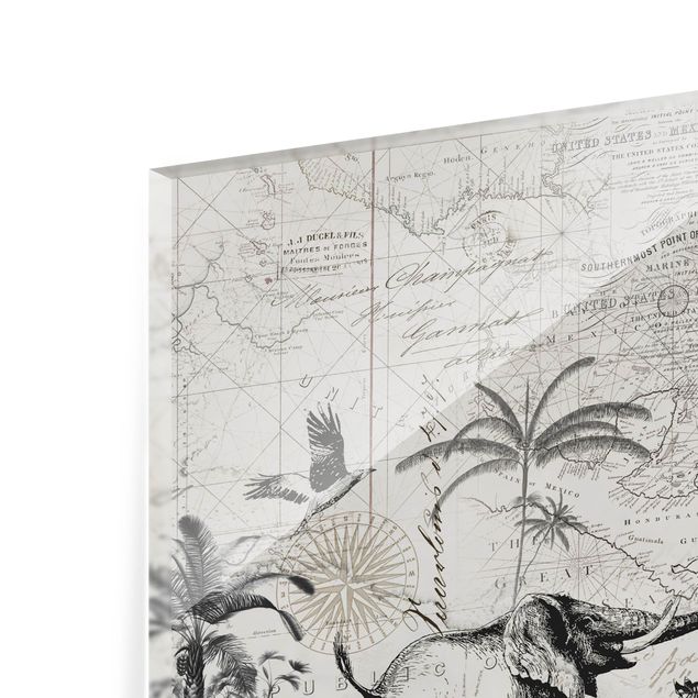 Splashback - Vintage Collage - Exotic Map