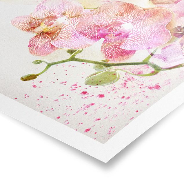 Poster - Watercolour Flowers Orchids