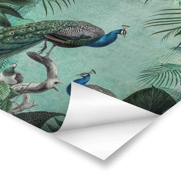 Poster - Shabby Chic Collage - Noble Peacock
