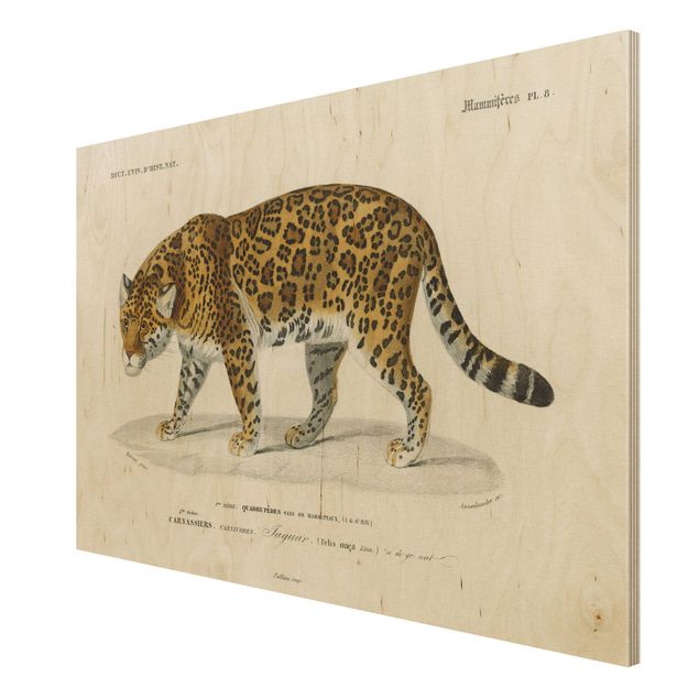 Print on wood - Vintage Board Jaguar