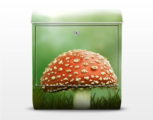 Letterbox - Fly Agaric