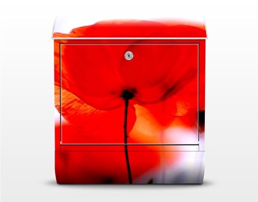 Letterbox - Magic Poppies