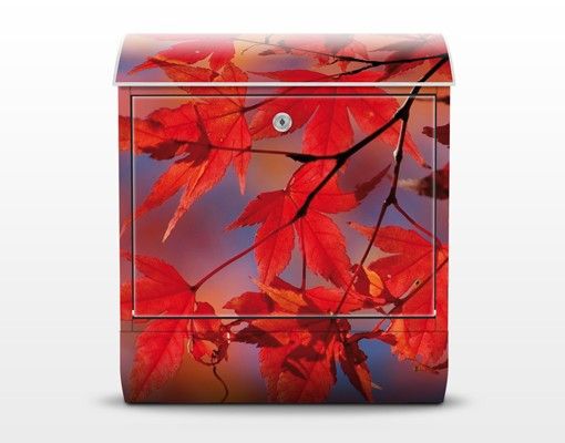 Letterbox - Red Maple