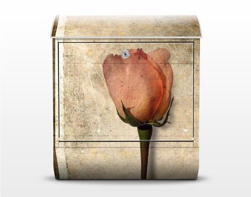 Letterbox - Inner Rose