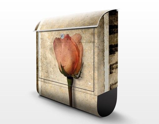 Letterbox - Inner Rose