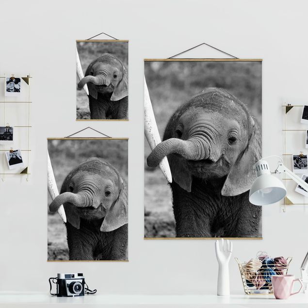 Fabric print with poster hangers - Baby Elephant