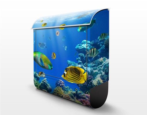 Letterbox - Underwater Lights