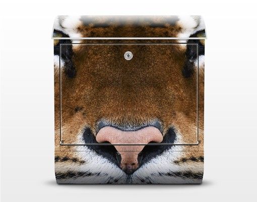 Letterbox - Tiger Eyes