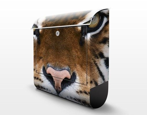 Letterbox - Tiger Eyes