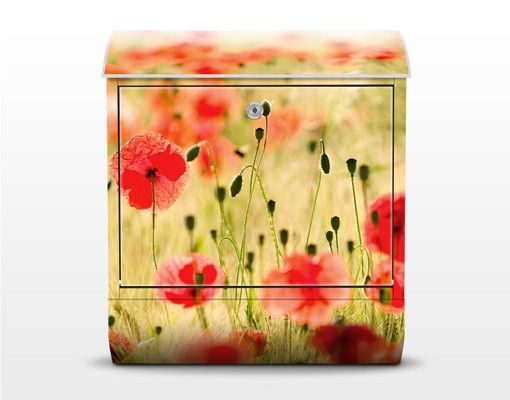 Letterbox - Summer Poppies