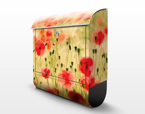 Letterbox - Summer Poppies