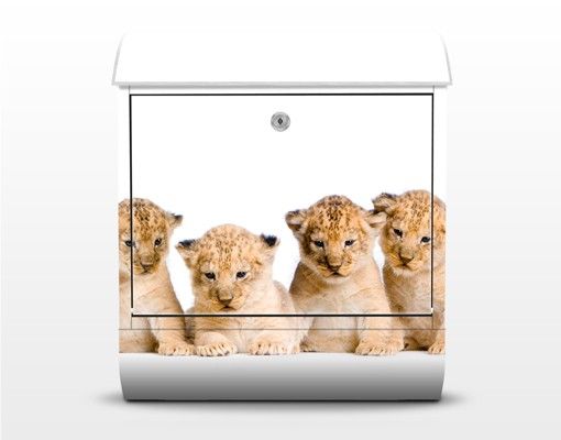 Letterbox - Sweet Lion Babys
