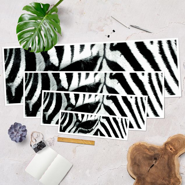 Panoramic poster animals - Zebra Crossing