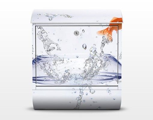 Letterbox - Flying Goldfish